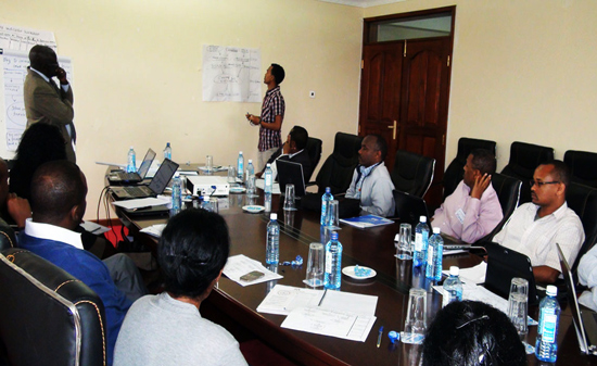 Human Capital Development