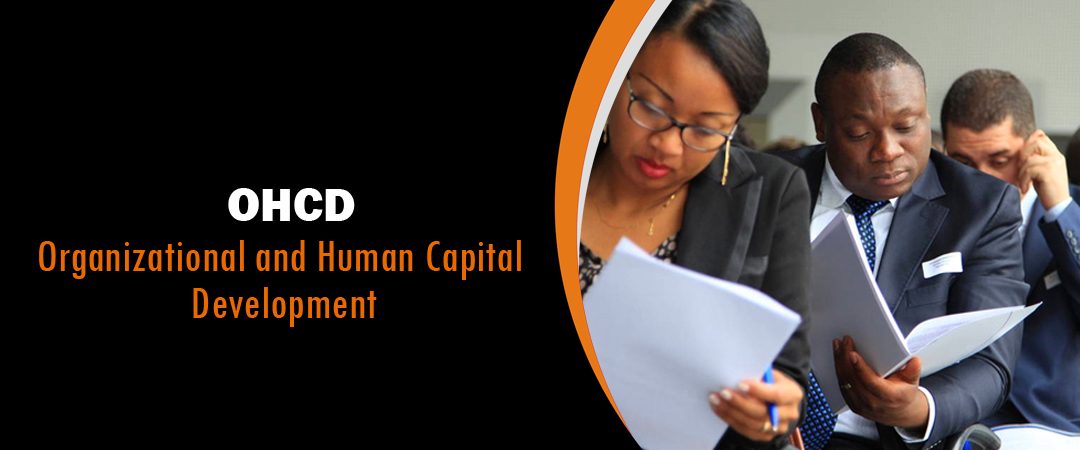 organisational-and-human-capital-development2